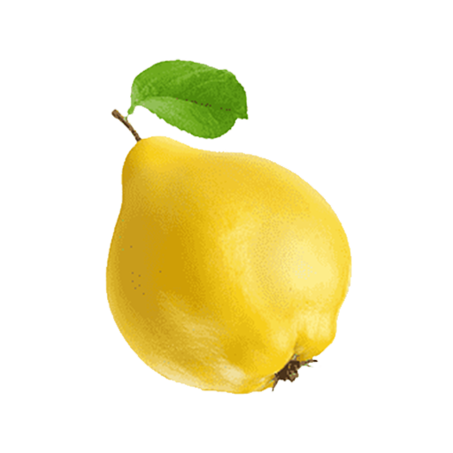 Fruits